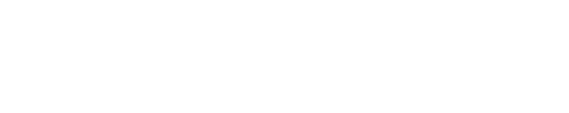 NetGuard